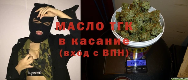 индика Беломорск
