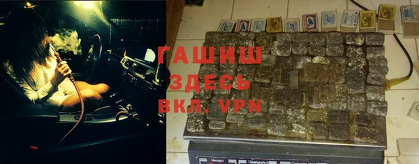 индика Беломорск