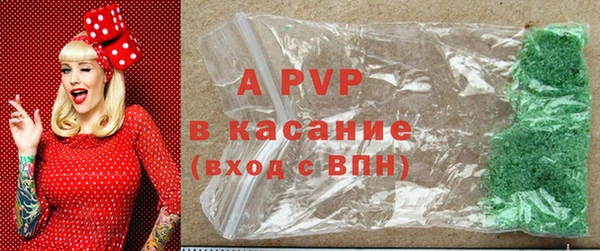 индика Беломорск