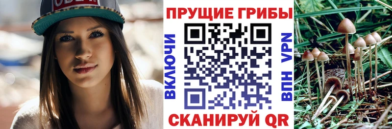 Галлюциногенные грибы Cubensis  Лыткарино 